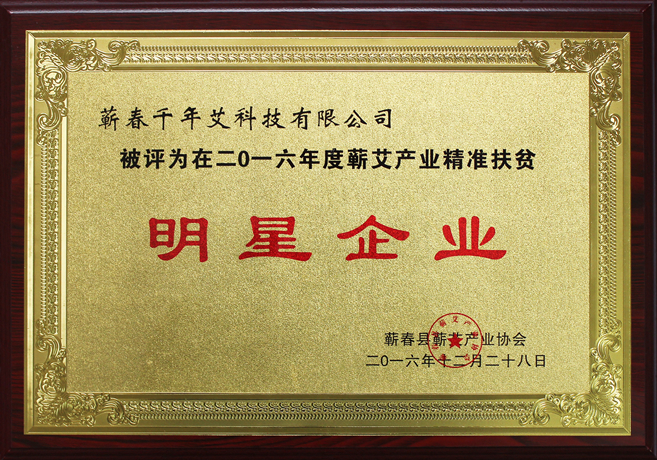 2016精準(zhǔn)扶貧明星企業(yè)