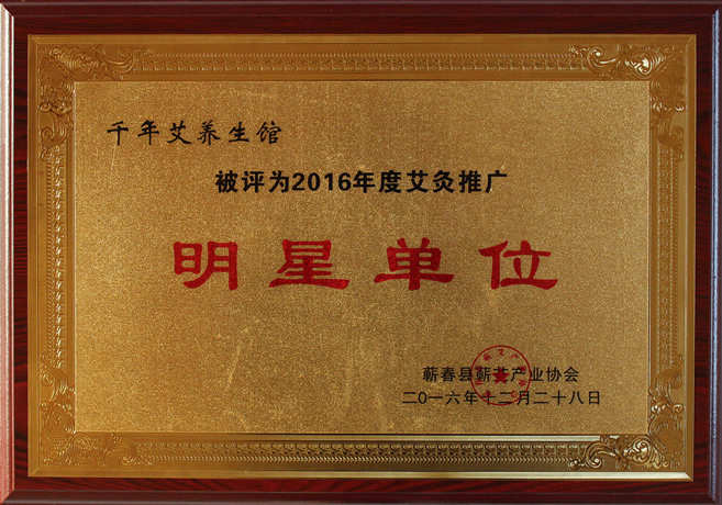 2016艾灸推廣明星單位