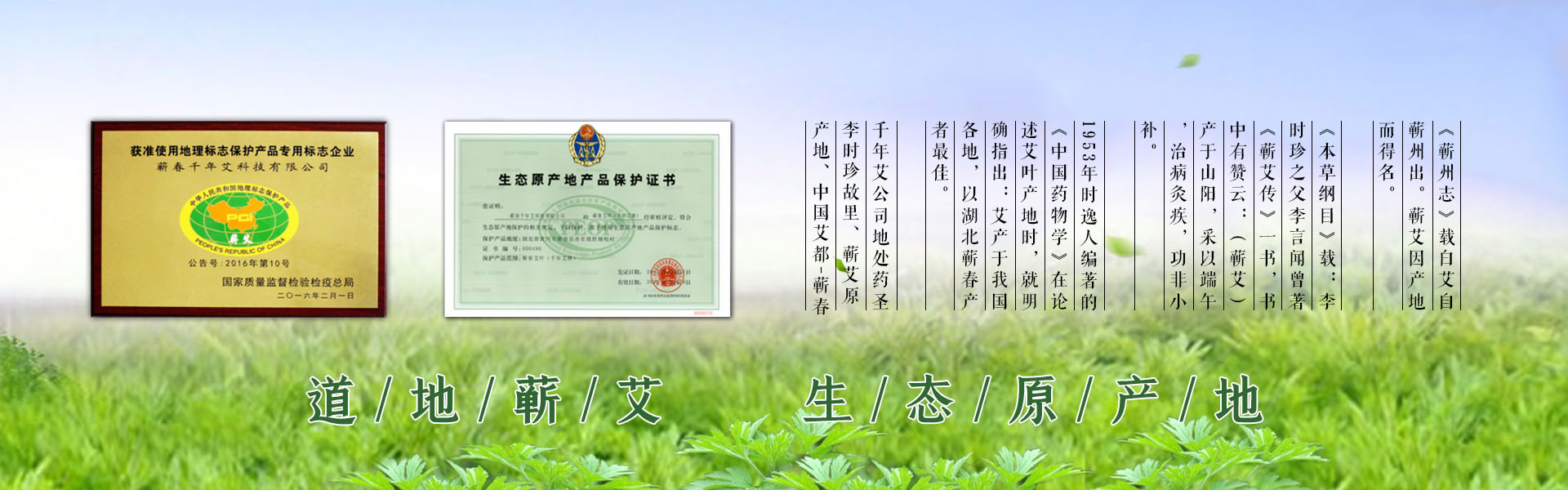 道地蘄艾  生態(tài)原產(chǎn)地認(rèn)證


